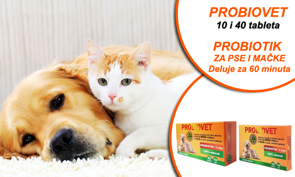 Probiotik za pse i mačke - Preparat za bolje varenje kod pasa i mačaka - Probiovet